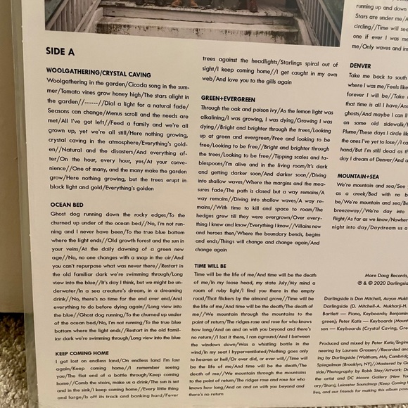 New in plastic Darlingside Fish Pond Fish Vinyl - Picture 8 of 9